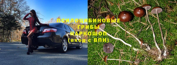 гидра Богородск