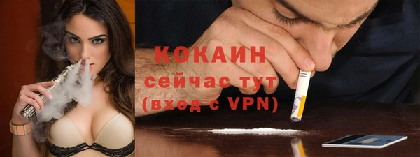 прущая мука Бородино