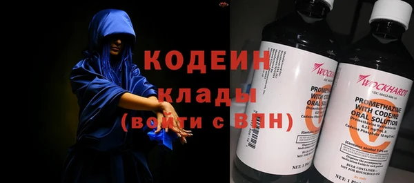 гидра Богородск
