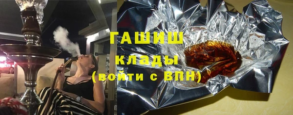 гидра Богородск
