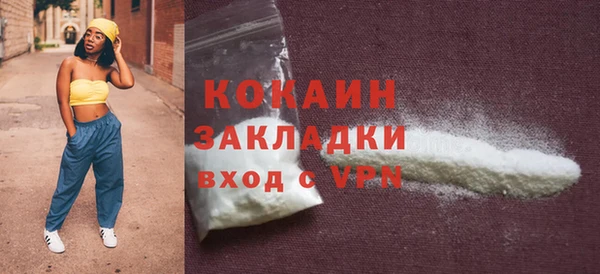 прущие грибы Богородицк
