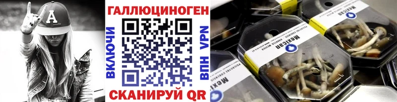 Галлюциногенные грибы Magic Shrooms  сайты даркнета Telegram  Пионерский  купить наркотики цена 
